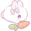 🎀