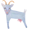 🐐