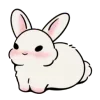 🐰