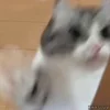 👊