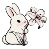🐰