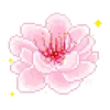 🌺