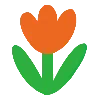 🌷