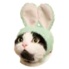 😹