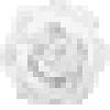 🪽