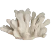 🐚