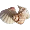 🏺