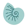 🐚