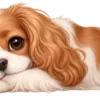 🐶