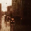 🎞