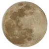 🌚