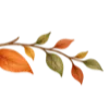 🍂