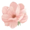 🌸