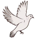 🕊️