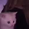 😕