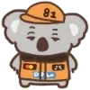🐨