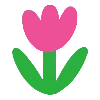 🌷