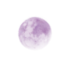 🌑
