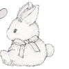 🐇