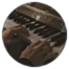 🎹