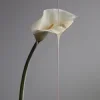 🌷