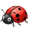 🐞
