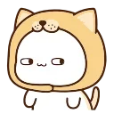 🐶