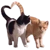🐈‍⬛