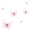🦋