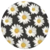 🌼