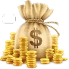 💰