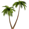 🌴