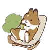 🍵