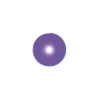 🟣
