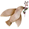🕊️