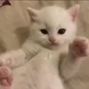 🤩