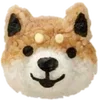 🐶