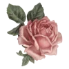 🌹