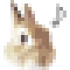 🐰