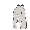 🐰