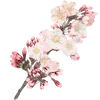 🌸