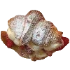 🥐