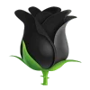 🖤
