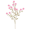 🌱