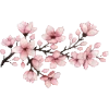 🌸