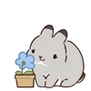 🐰