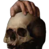 🌚