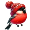 🫶