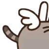 ⭐