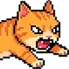 😼